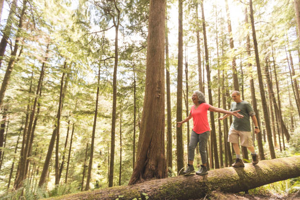 Senior Couple on a Day Hike in Forest Cute senior couple explore the Pacific Northwest together on a day hiking trip. They are walking across a log in the forest. She is in front and they have their arms out for balance as they inch across... balance stock pictures, royalty-free photos & images