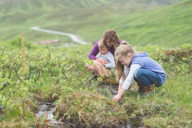 istock Mom Looks for Fish in Tiny Alaska Stream with Her Two Children 897311542