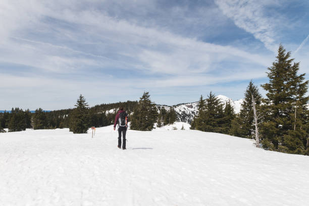 istock Solo Female Hiking in Snowy Mountains 897319072