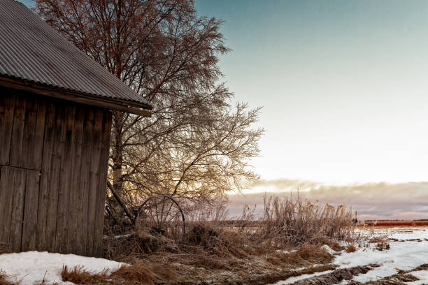 зимнее солнце садится за старый сарай дом - winter finland agriculture barn стоковые фото и изображения