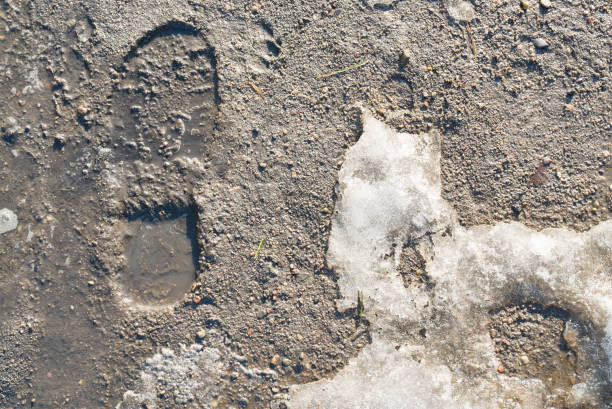 istock Melting snow with human shoes footprints 897336032