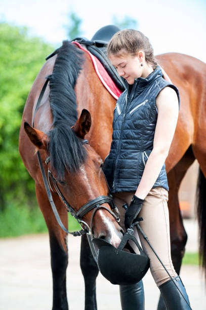 istock Curious red horse looking for something in owner's helmet 897353354