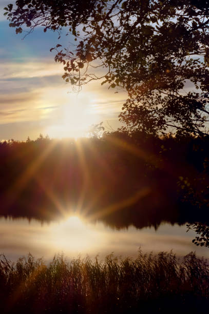 istock the sunset, the sun reflected in the water, the sun breaks through the trees 897360074