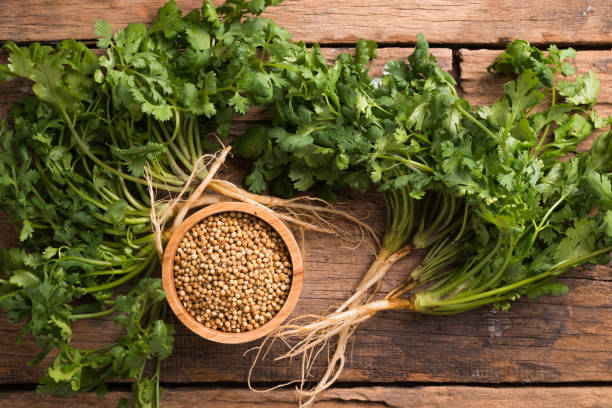 istock Coriander seeds and leaves on a wood background 897371874