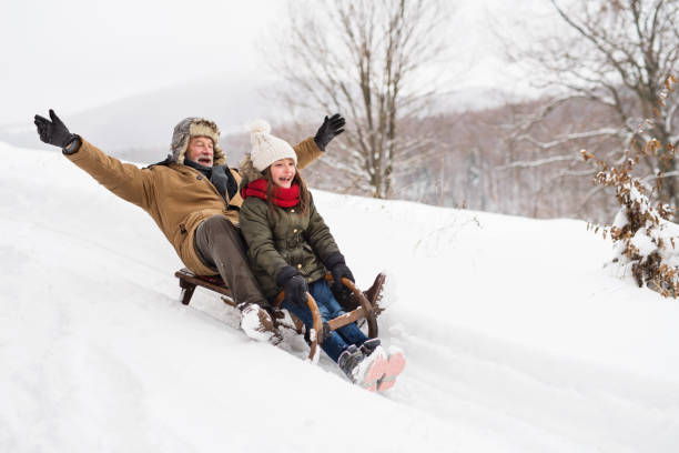 Grandfather and small girl sledging on a winter day. Senior grandfather and a small girl sledging, having fun. Winter day. animal sleigh photos stock pictures, royalty-free photos & images