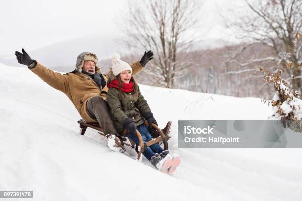 Grandfather And Small Girl Sledging On A Winter Day Stock Photo - Download Image Now