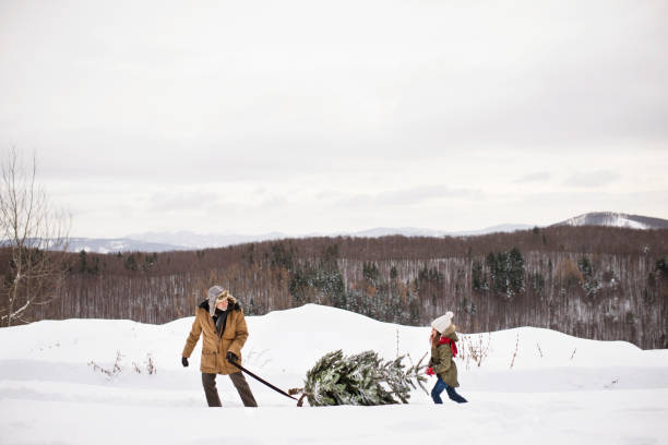 istock Grandfather and small girl getting a Christmas tree in forest. 897391656