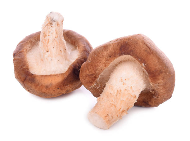 istock champignon mushrooms on white background 897400024