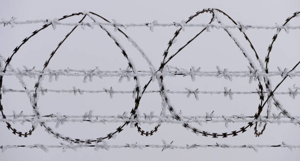 clôture de fil de barb à la froide journée d’hiver - winter wire barbed wire protection photos et images de collection