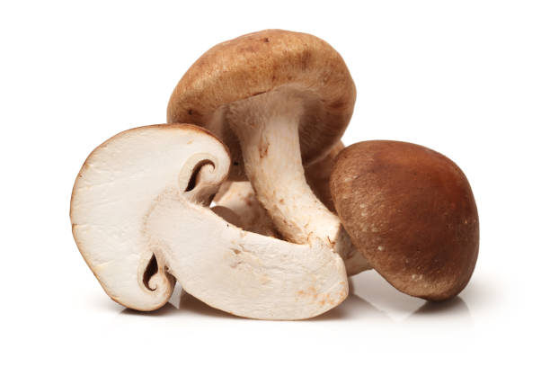 istock Shiitake mushroom  isolated on white background 897410458
