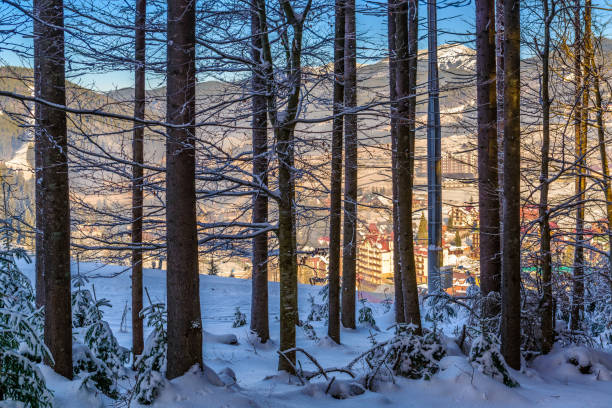 istock Snow forest with mountains and sunny alpine ski resort valley 897413626