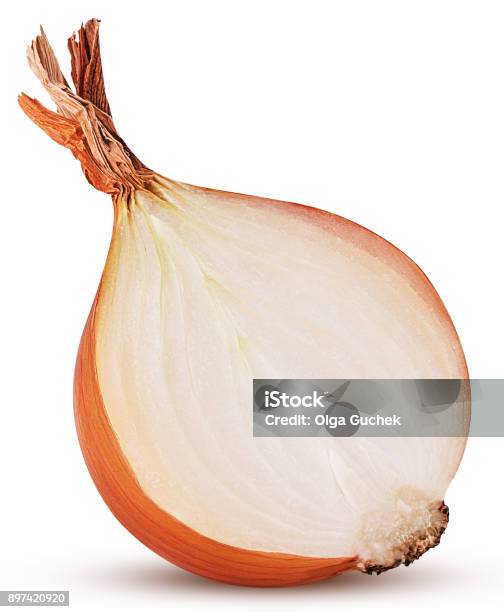 Yellow Onion Bulb Cut In Half Stock Photo - Download Image Now - Onion, Slice of Food, Chopped Food