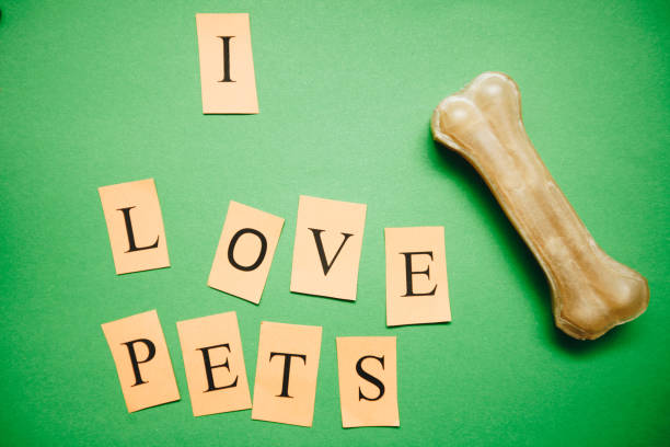 istock I love pets inscription on a green background 897424092