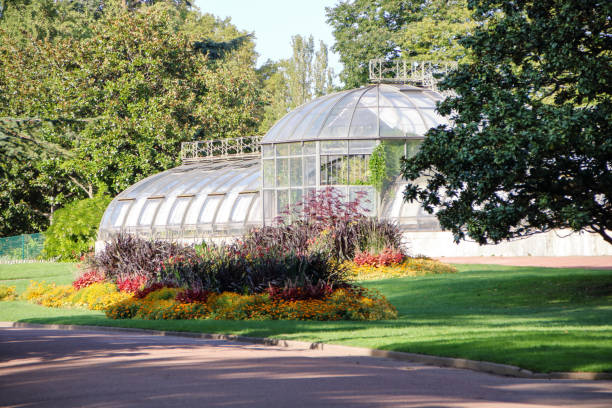 istock greenhouse at the tete d'or 897435454