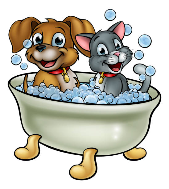 ilustrações de stock, clip art, desenhos animados e ícones de cartoon cat and dog washing in bath - dog bathtub washing puppy