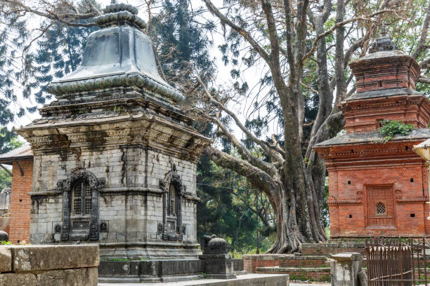 istock Pashupatinath hindus sacred place 897454820
