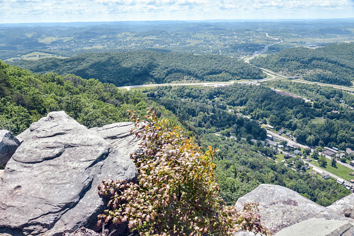 Overlook with boulders and flowering bush in the foreground. Down below are freeways travelling through Kentucky and Tennessee.