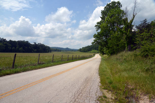 istock Rural landscape with country road 897461346