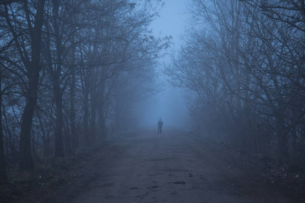istock Gloomy mood in the forest 897461760