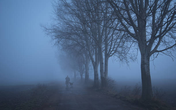 istock Hunter with his dog in the nature 897461772
