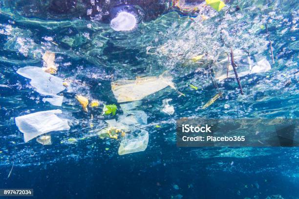 Environmental Issue Underwater Image Of Plastic In The Ocean Stock Photo - Download Image Now