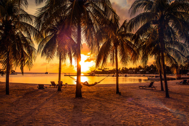 na rede de relaxamento após um dia de praia no caribe - ilhas cayman - cayman islands - fotografias e filmes do acervo
