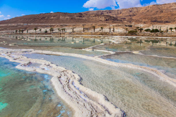 istock The evaporated salt on the Dead Sea 897478664