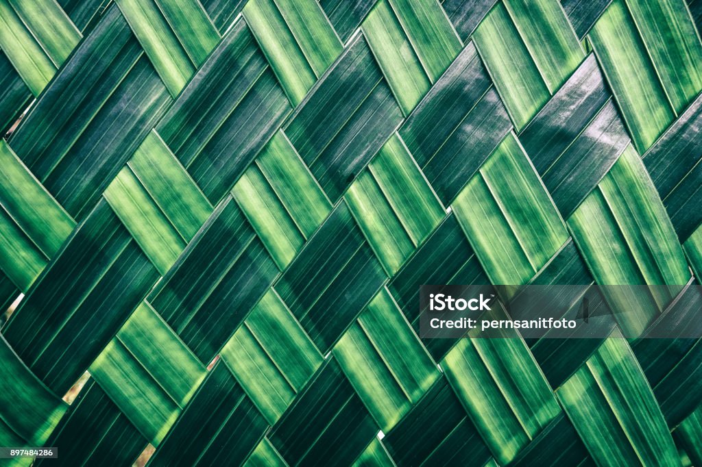 Leaf texture background weave of green palm leaf Background Palm Leaf Stock Photo