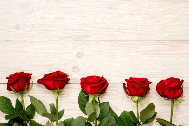 5 red roses in row on white rustic desks