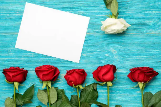 red and white roses with empty paper card on turquoise table