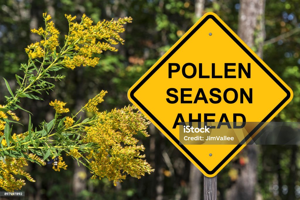 ADVERTENCIA anticipada temporada de Polllen - Foto de stock de Alergia libre de derechos