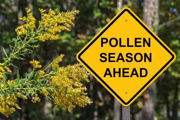 Photo of Polllen Season Ahead Warning