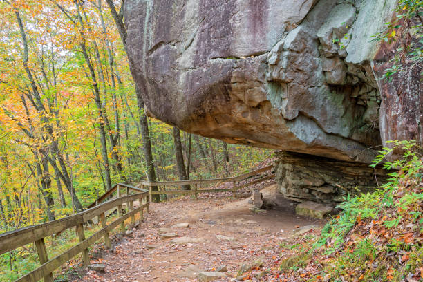 istock Hiking Trail At Cloudland Canyion State Park 897497900