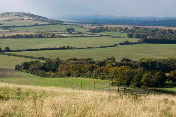 310+ Dunstable Photos Stock Photos, Pictures & RoyaltyFree Images iStock