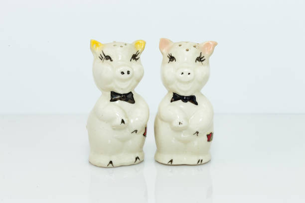 istock white ceramic pig salt and pepper shakers 897499042