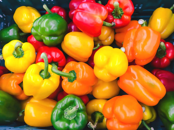 bunte paprika hintergrund - paprika scharfe schoten stock-fotos und bilder