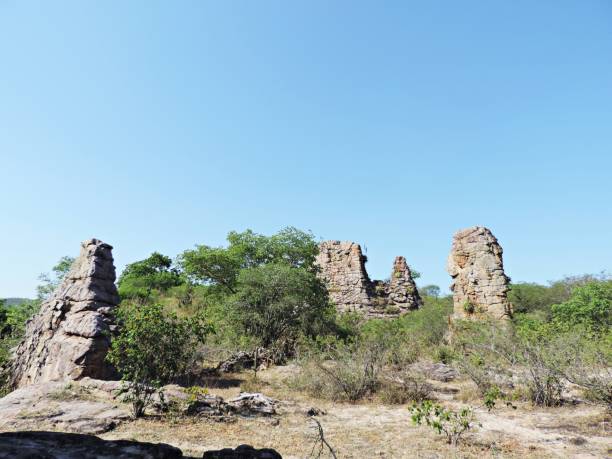 istock Landscape/ Rock mountains in the caatinga in northeastern Brazil 897516076