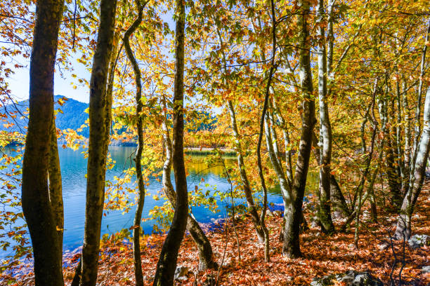 istock Kovada Lake from Egirdir. Isparta / Turkey. 897521354