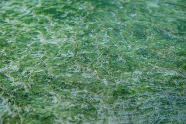 istock New Zealand Pounamu jade background 897522016