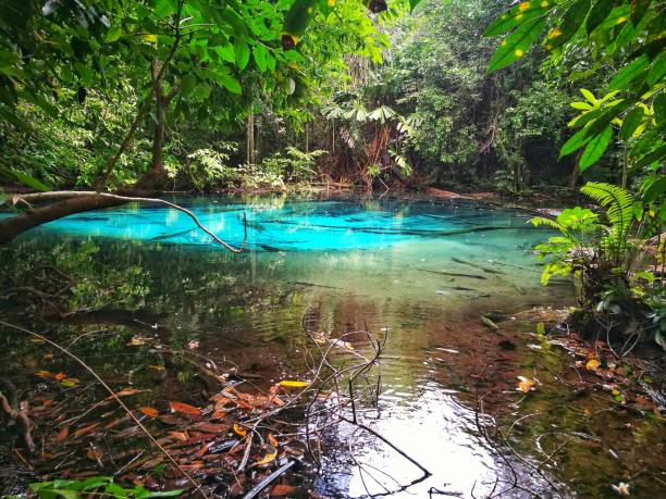 istock Greatness of Thailand,Blue Pool 897525068
