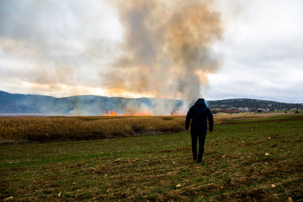 istock Fire at the edge of the mountain 897525542