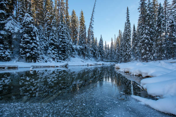 istock Moraine Lake,jasper national park,canada 897528316