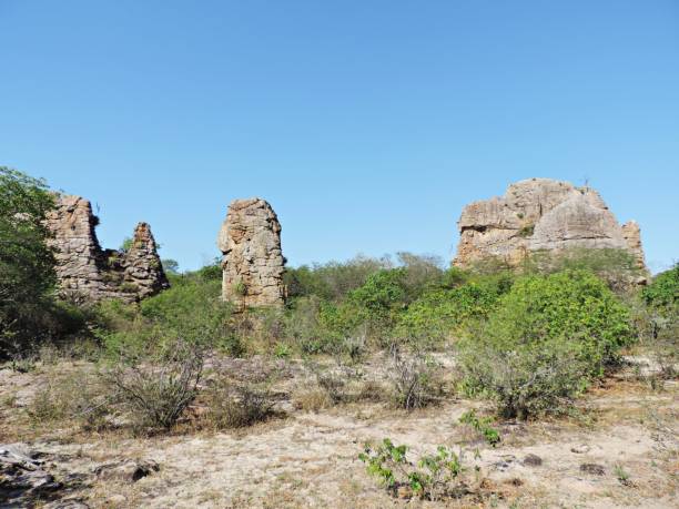 istock Landscape/ Rock mountains in the caatinga in northeastern Brazil 897528924