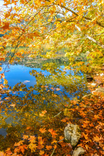 istock Kovada Lake from Egirdir. Isparta / Turkey. 897529510