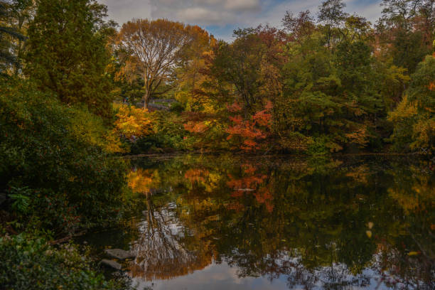 istock NYC autumn in Central Park 897537032