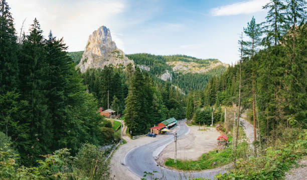 istock Road through Carpathians in Romania 897541530