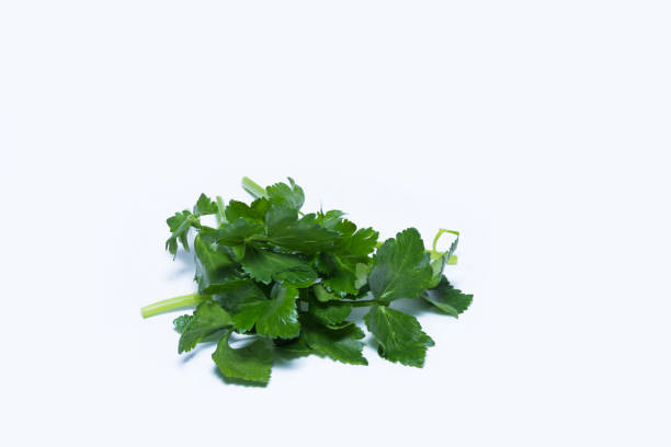 istock Fresh green celery isolated on white background with shadows. Close up. 897542324