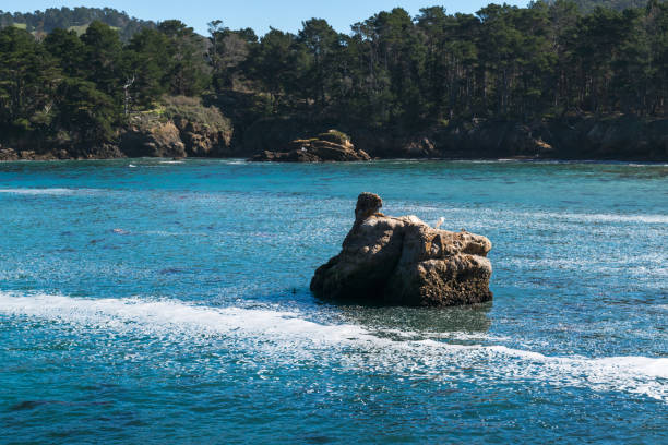 punto de reserva natural estatal de lobos, big sur, carmel highlands, condado de monterey, california, usa - point lobos state reserve big sur california beach fotografías e imágenes de stock