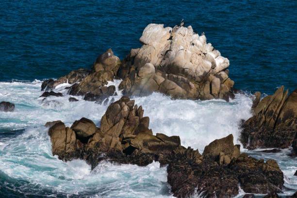 punto de reserva natural estatal de lobos, big sur, carmel highlands, condado de monterey, california, usa - point lobos state reserve big sur california beach fotografías e imágenes de stock