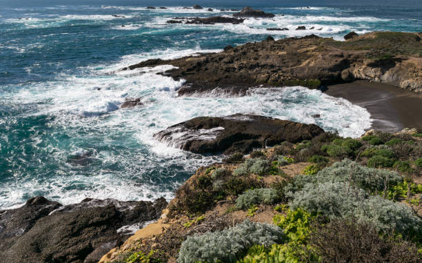 punto de reserva natural estatal de lobos, big sur, carmel highlands, condado de monterey, california, usa - point lobos state reserve big sur california beach fotografías e imágenes de stock